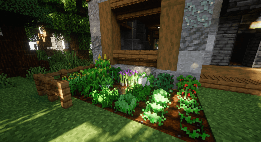 A Minecraft screenshot featuring a small garden patch with various crops, including chives, dill, tea, lettuce, cauliflower, basil, coffee, corn, and tomatoes, planted in tilled soil right next to a rustic wooden and stone building. Sunlight filters through the trees onto the grassy yard.