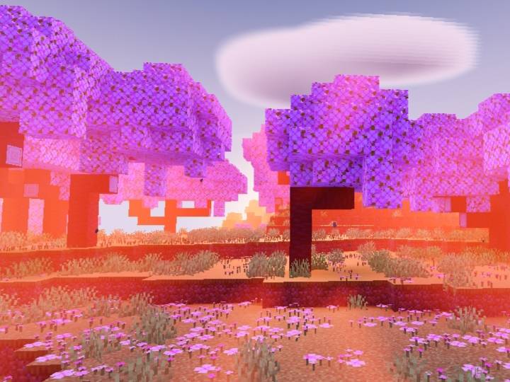 cherry Grove biome
