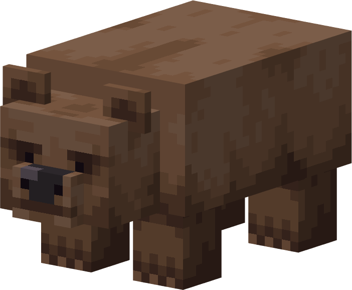 Brown Bear