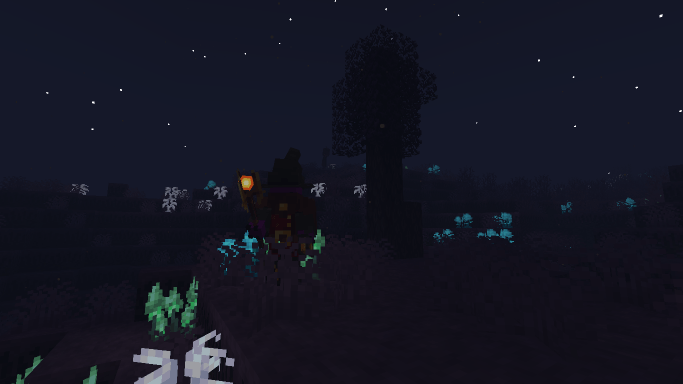 The Midnight