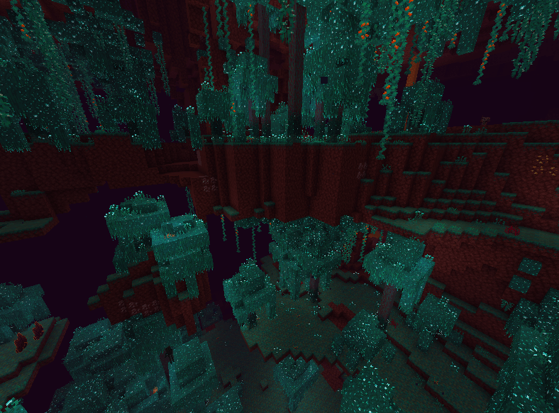 warped_forest_1
