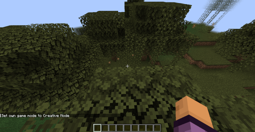 above the leaves