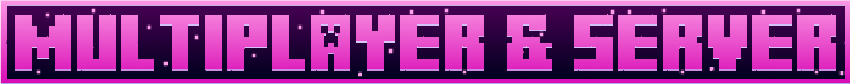 MULTIPLAYER & SERVER