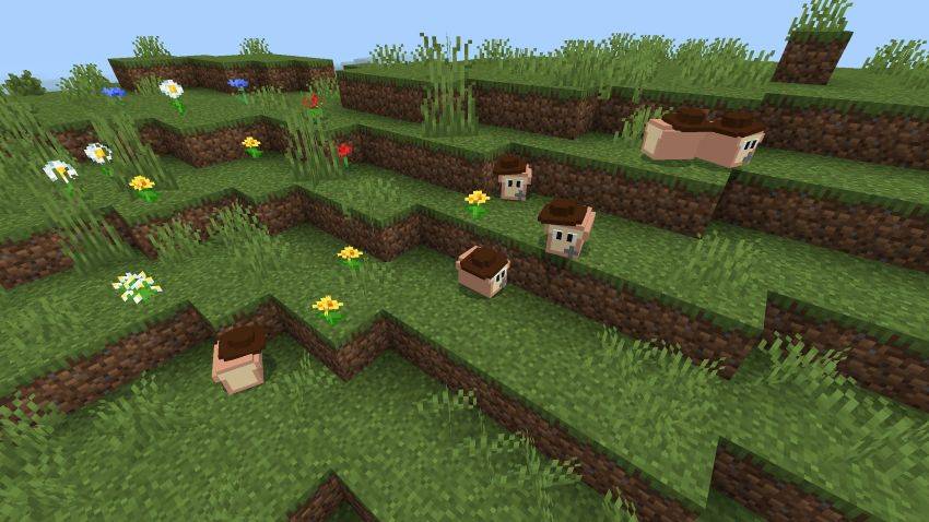 Breads in plains