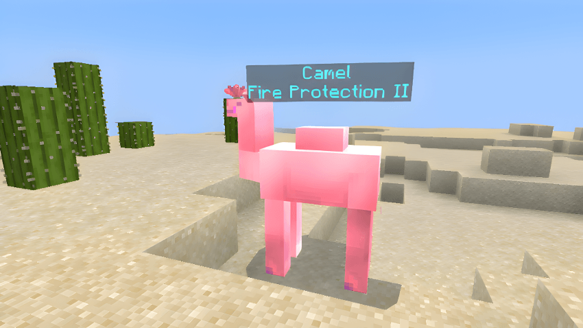 camel