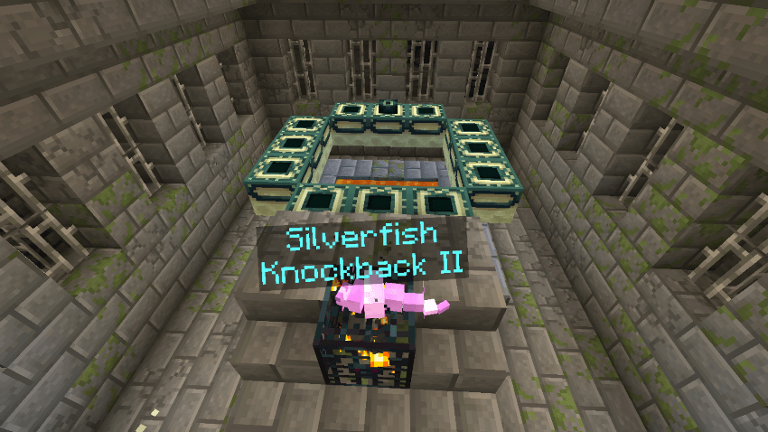 silverfish
