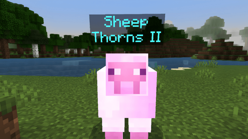sheep