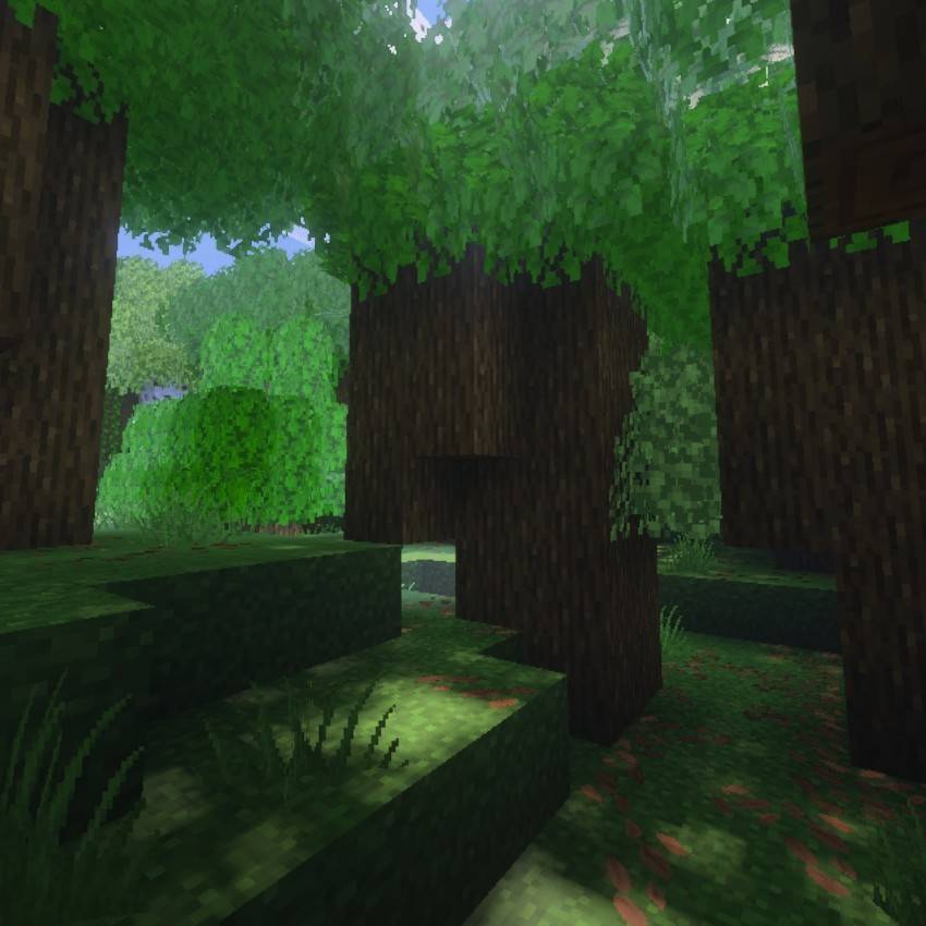 Solf Shadows