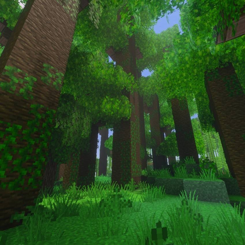 Realistic Vegetation