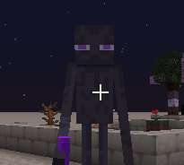 description_ff3d02da-8e55-4d54-ae54-0e585e5f5ec7.png