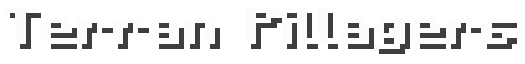 Terran Pillagers