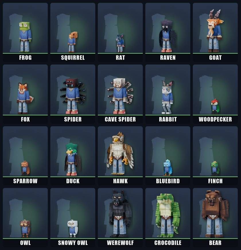 The 20 forms