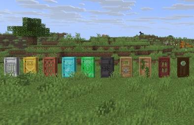 Door preview