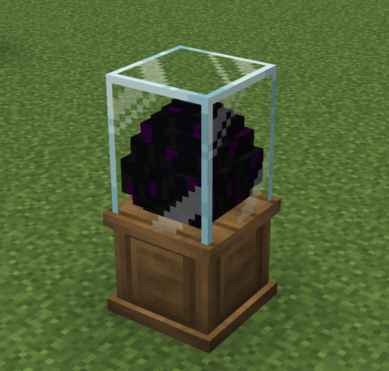 display case