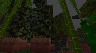 A warm tropical bracken