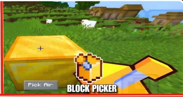 Block Picker