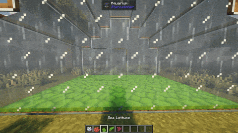 description_5cff38b2-de07-499e-8a12-c50ae6780716.gif