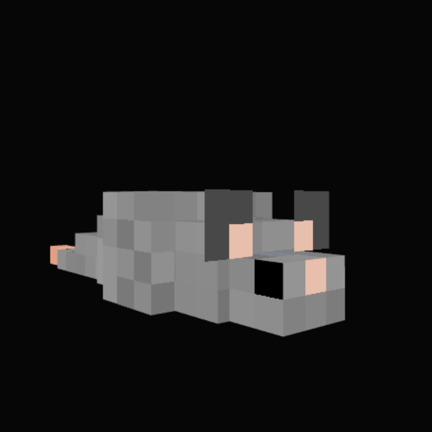 Rat