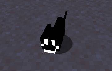 TwixxKitty