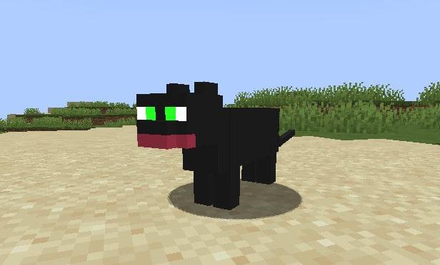 CatMob