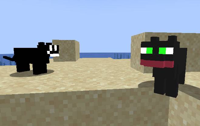 TwixxCat and CatMob