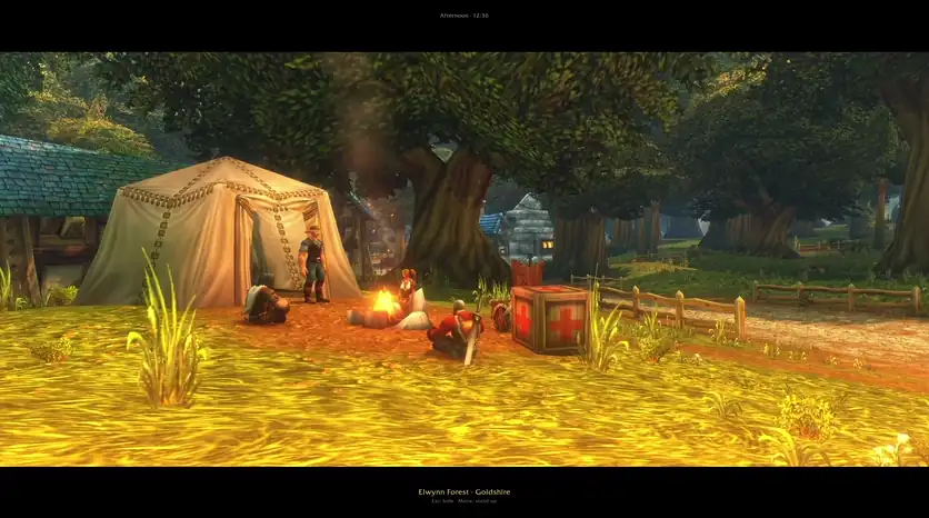 Life at the camp