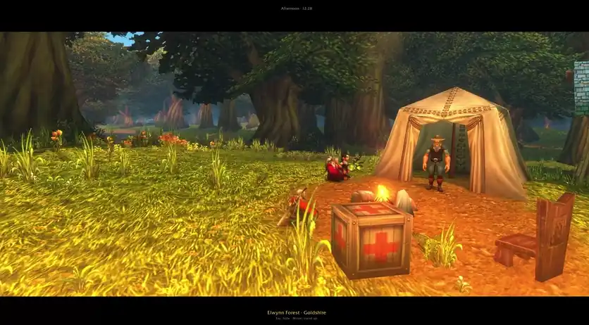 An afternoon at the camp