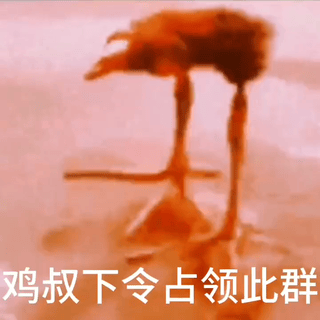 Chicken Uncle...