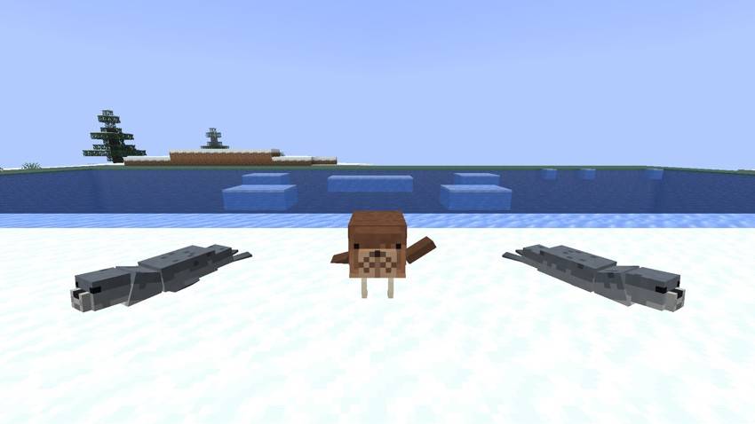 A walrus and two seals hauled out on a frozen shore
