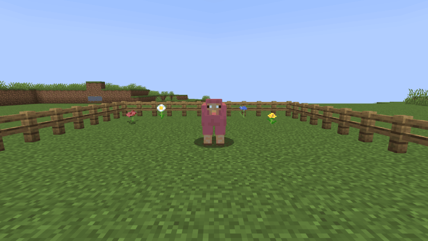 Catching a pink sheep in a pokeball, picking the ball up, and throwing it to let the sheep back out