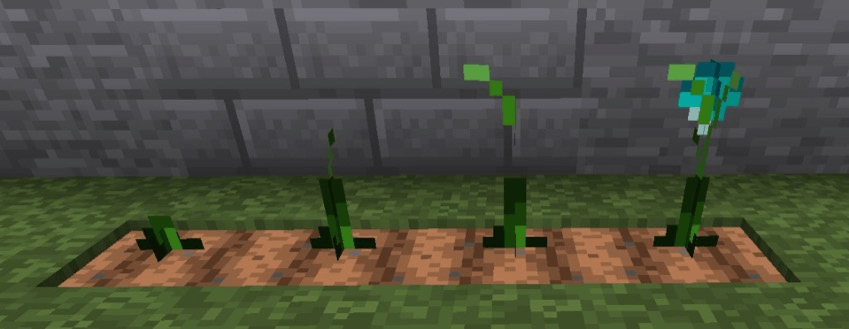 Four stages of a diamond crop
