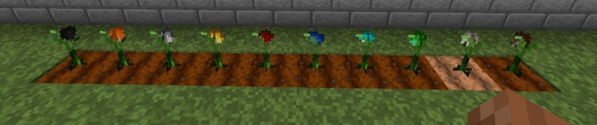 Ten mature ore crops
