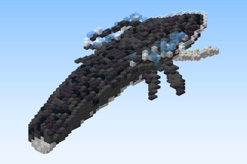 Alien Black Orca Whale