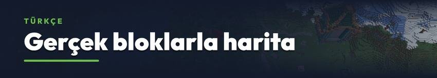Türkçe