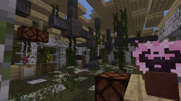Everglades biome