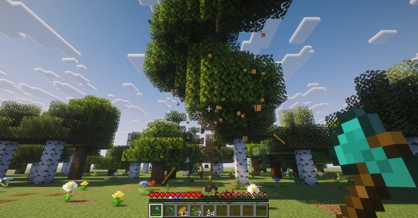 The whole oak coming down after one cut