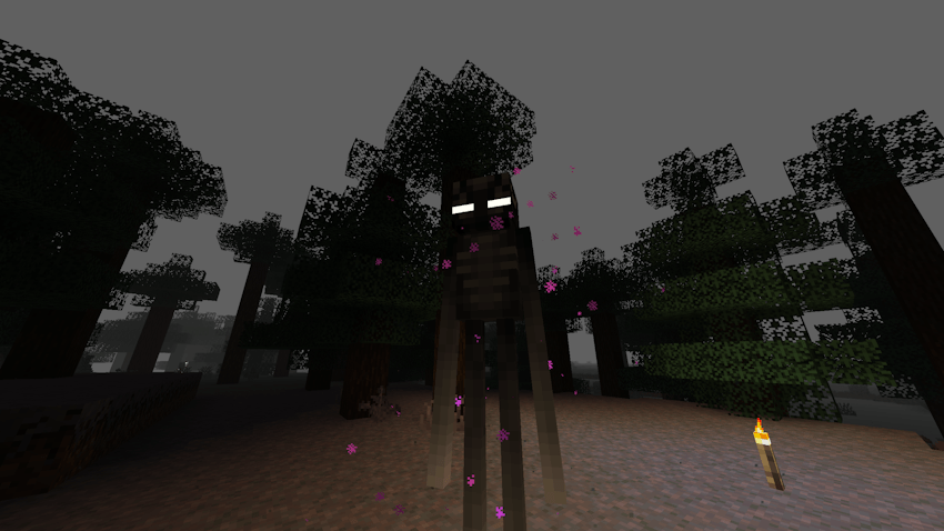 the seeker in darkness