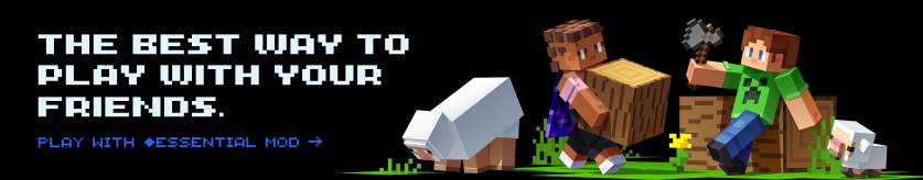 The best way to play with your friends. Play with Essential Mod