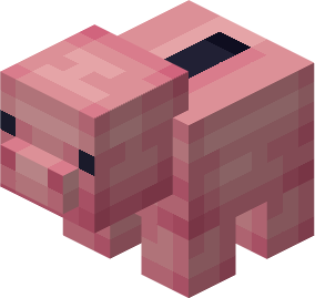 Piggy Bank