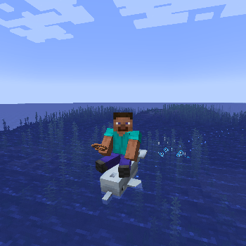 Dolphon