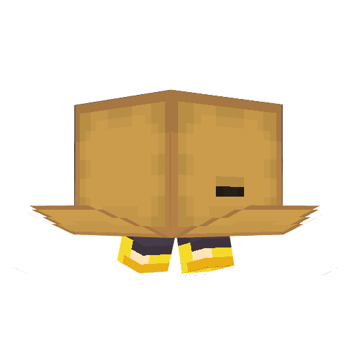 Спрятаться в коробке