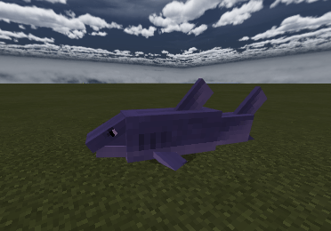 Shark