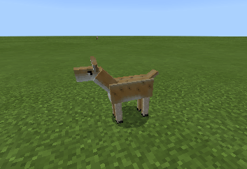 Deer