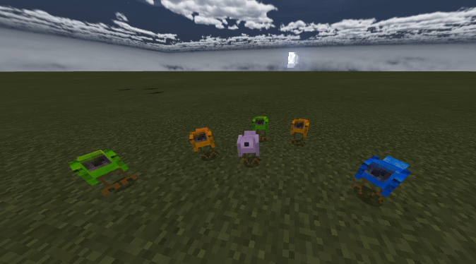 Bird Variants
