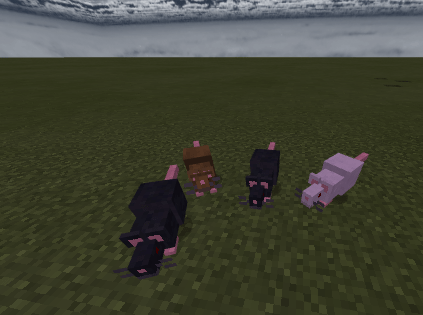 Rat Variants