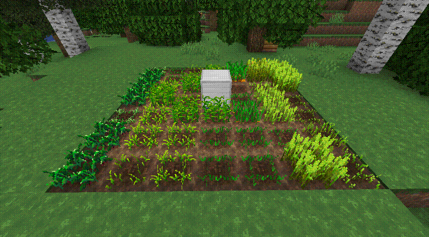 AutoCrop Plugin in Action