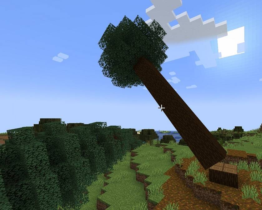 Large Spruce Tree Falling 