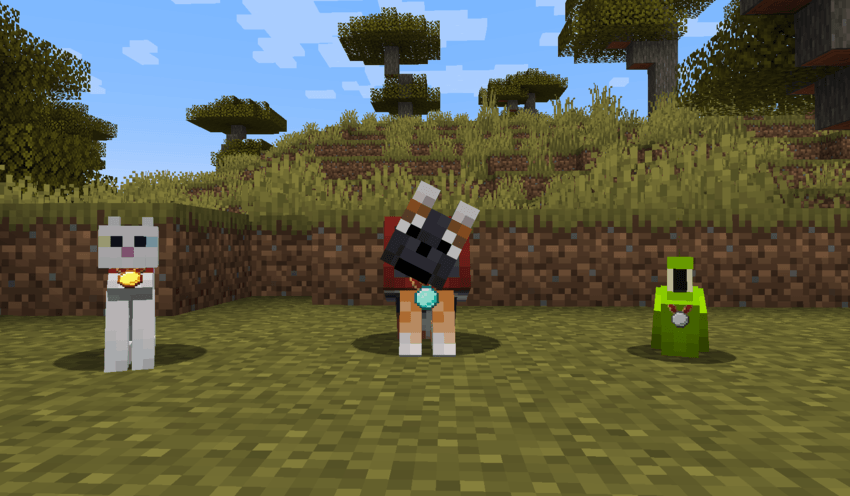 Mod image