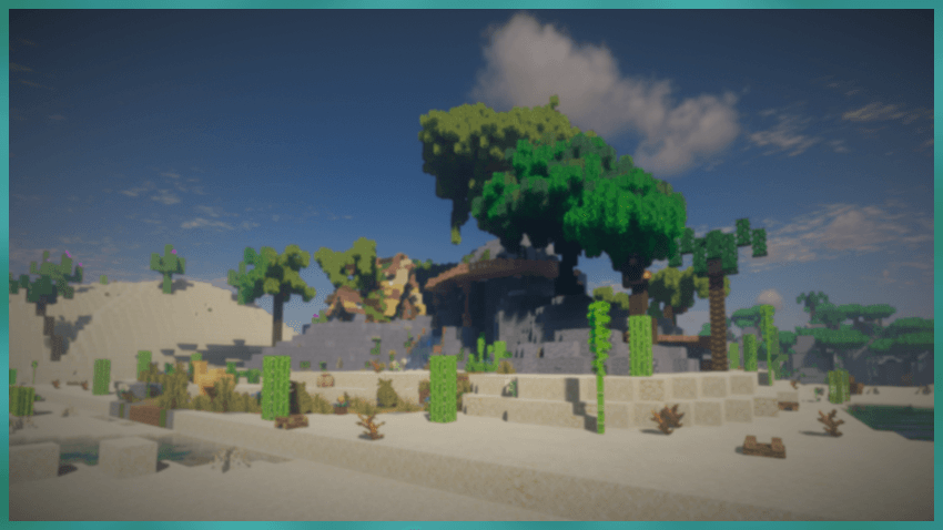 Palm Haven