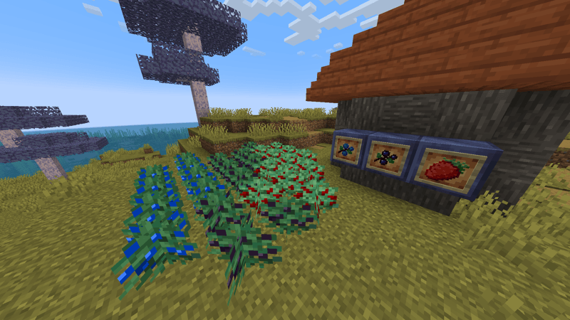 Blue, black, and strawberries.